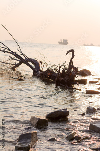 beach, driftwood and ships against the setting sun. in the photo are not the usual perspective, selective focus