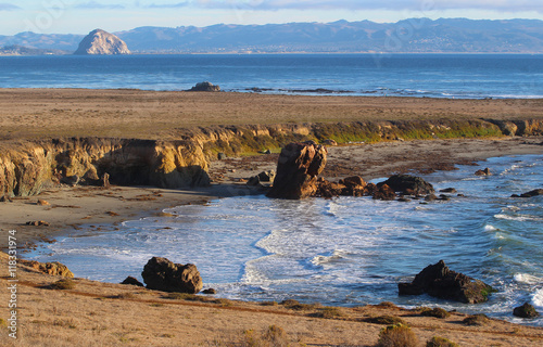 Estero Bluffs State Park with Morro Rock in background, near Cayucos, California, USA