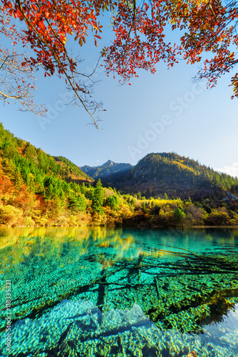 Fantastic view of the Five Flower Lake among colorful fall woods