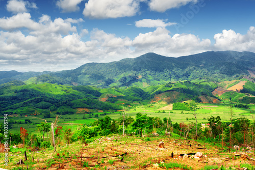 Amazing view of bright green rice fields surrounded by mountains