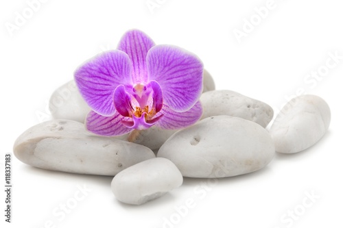 zen basalt stones and pink orchid