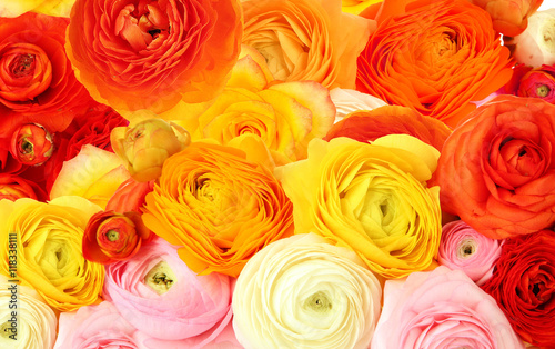 Beautiful flowers background. Floral seamless pattern.