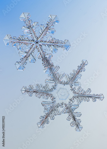 crystal natural macro snowflake