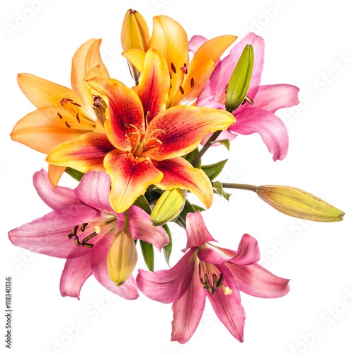 Vintage flowers pattern with lilies isolated on white background