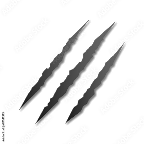 Claw marks on a white isolated background