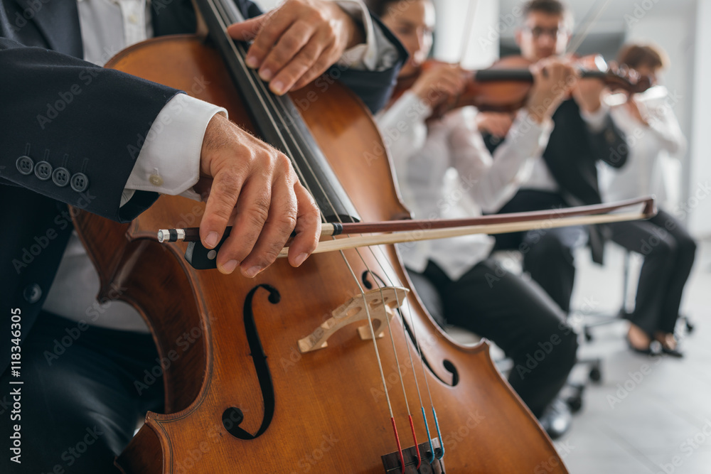Fototapeta premium Cello player's hands close up