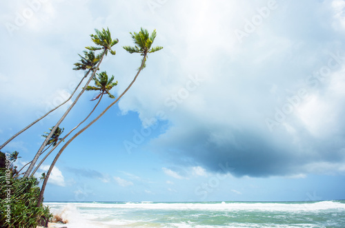 Untouched tropical beach