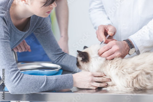 Veterinarian giving an injection to a pet