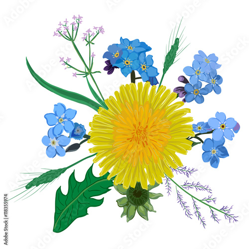 Fototapeta Naklejka Na Ścianę i Meble -  Yellow dandelion flower bouquet. Hand drawn wildflowers yellow blue bouquet