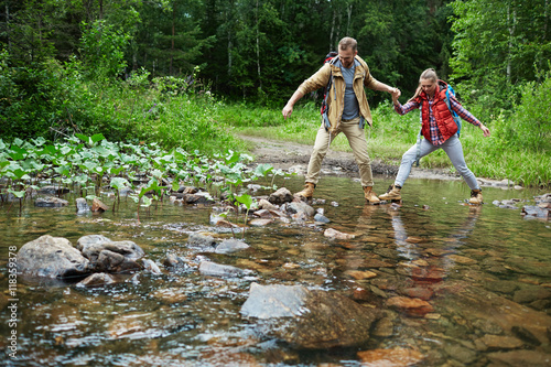Journey in the forest