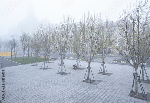 Foggy Shanghai