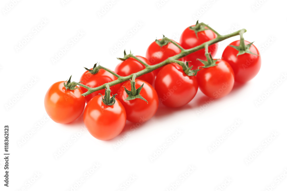 Cherry tomatoes branch isolated on a white background Cherry tomatoes branch isolated on a white background