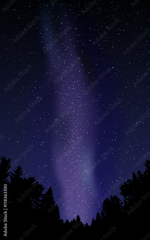 Night sky with stars and milky way.Vector illustration