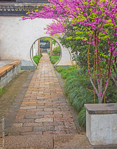 Old town of Wuzhen with nic...
