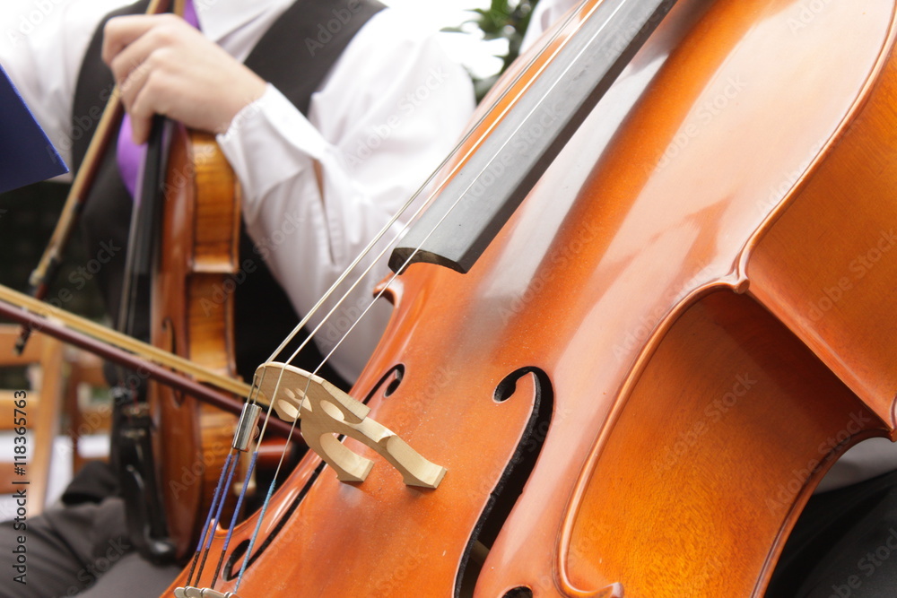 close up of a cello playing in an ensemble close up of a cello playing in an ensemble