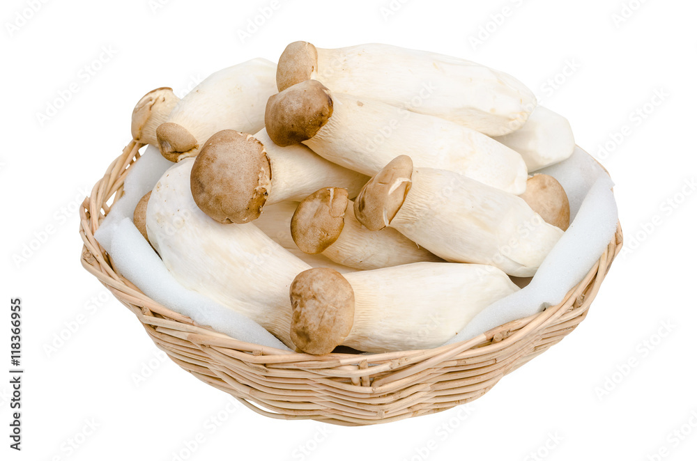 King Oyster Mushroom or Eryngii Mushroom in basket isolated on white background King Oyster Mushroom or Eryngii Mushroom in basket isolated on white background