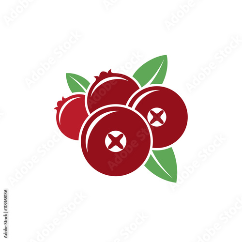 Cranberry. Vector