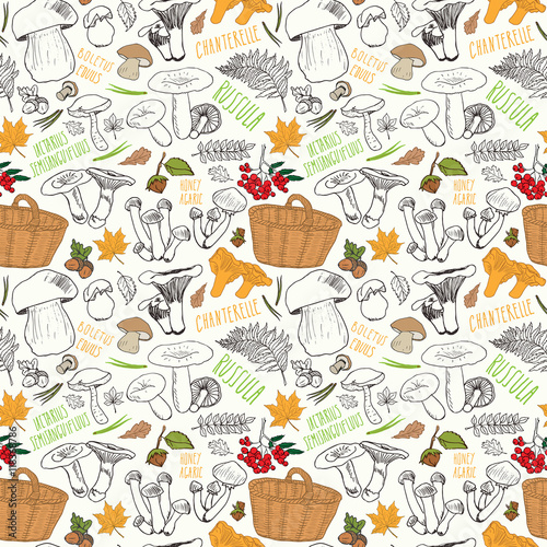 Mushroom hand drawn sketch Seamless Pattern. Vector Illustration.