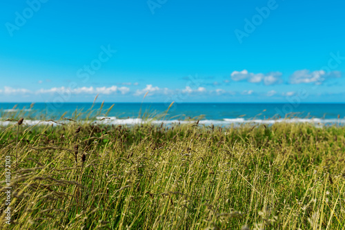 meadow sky and sea Denmark