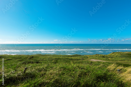 Fototapeta Naklejka Na Ścianę i Meble -  meadow sky and sea Denmark