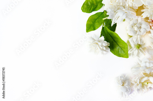 Flower background of Jasmine flowers spread on white background