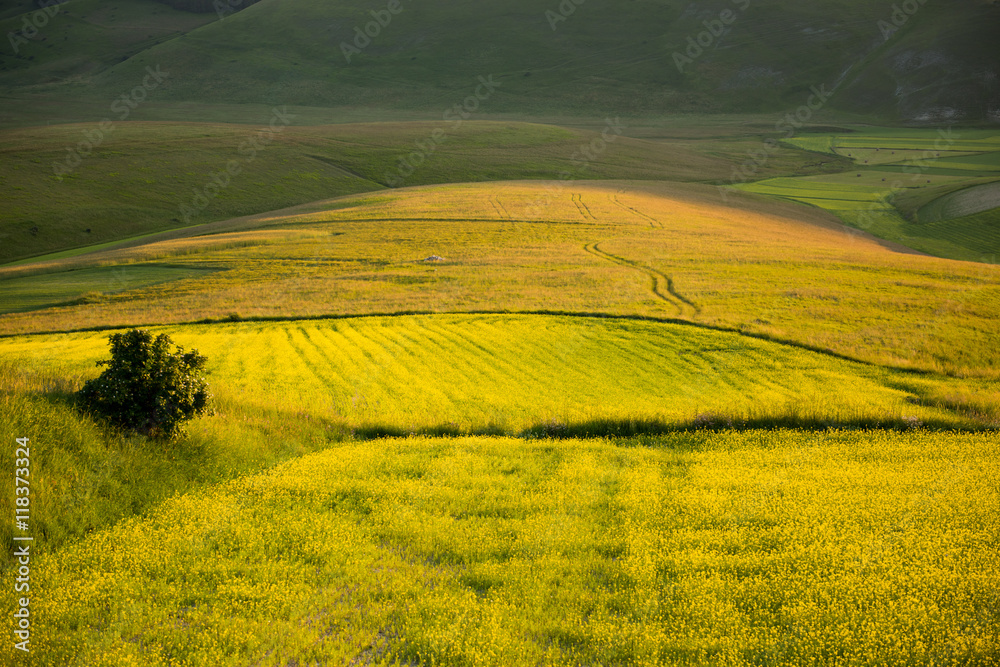Fototapeta premium Castelluccio di Norcia