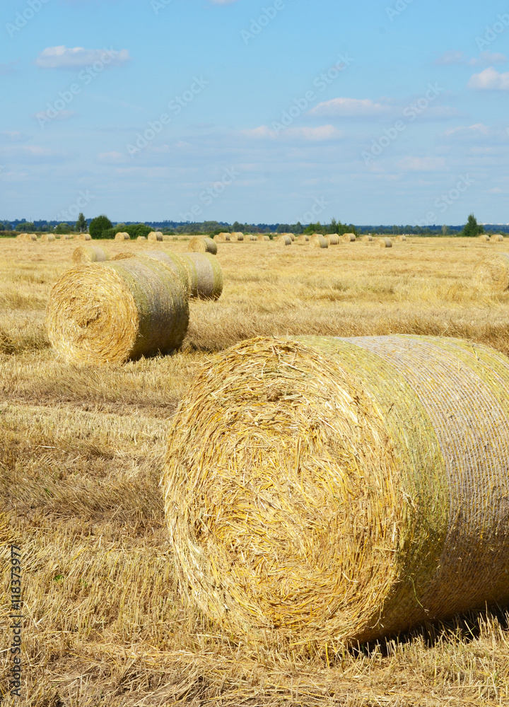 Fototapeta premium The haystack against the sky.