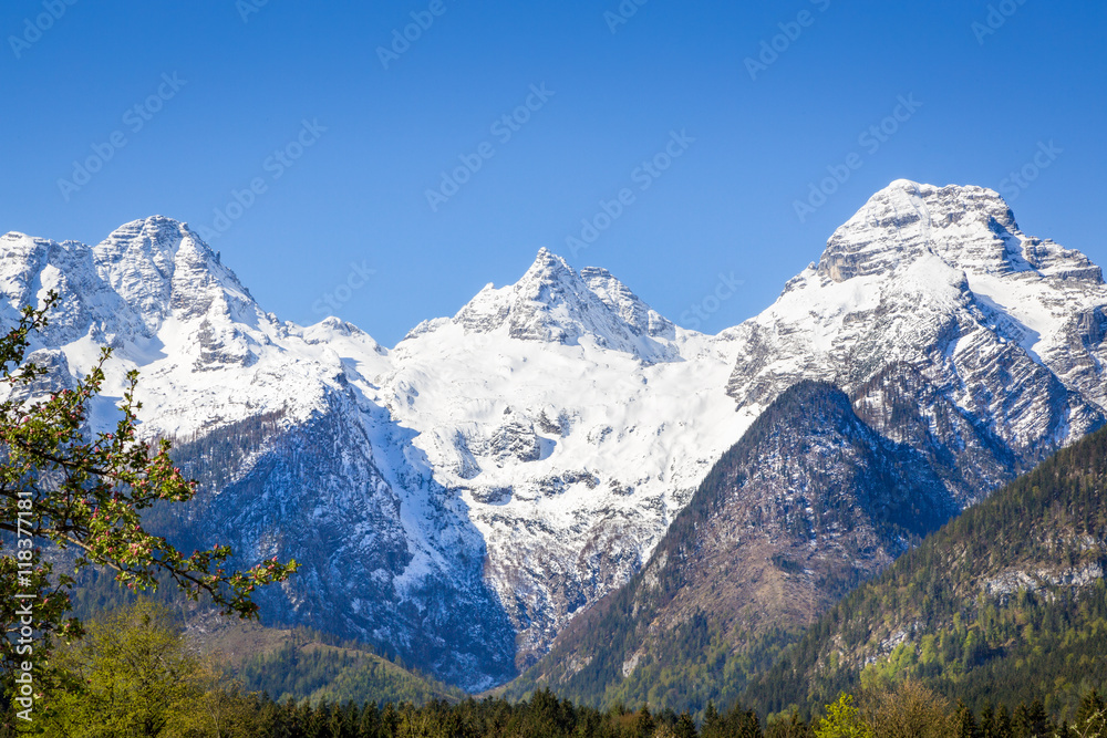 Snowcapped mountain landscape, Austria