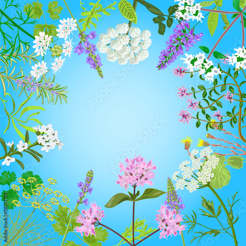 Vector card with herbal flowers.