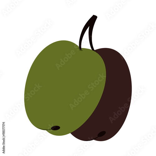 olive fruit natural icon vector