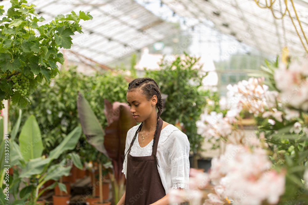 pretty young woman gardening pretty young woman gardening