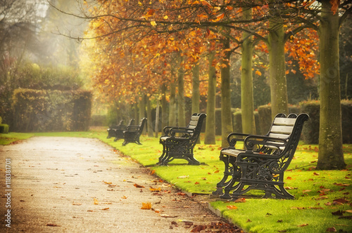 Benches in autumn park photo