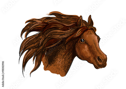 Running horse head close up portrait
