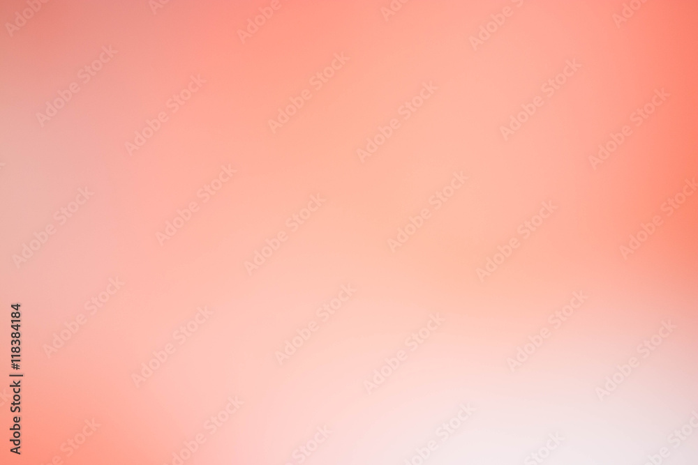 color rose background blur color rose background blur