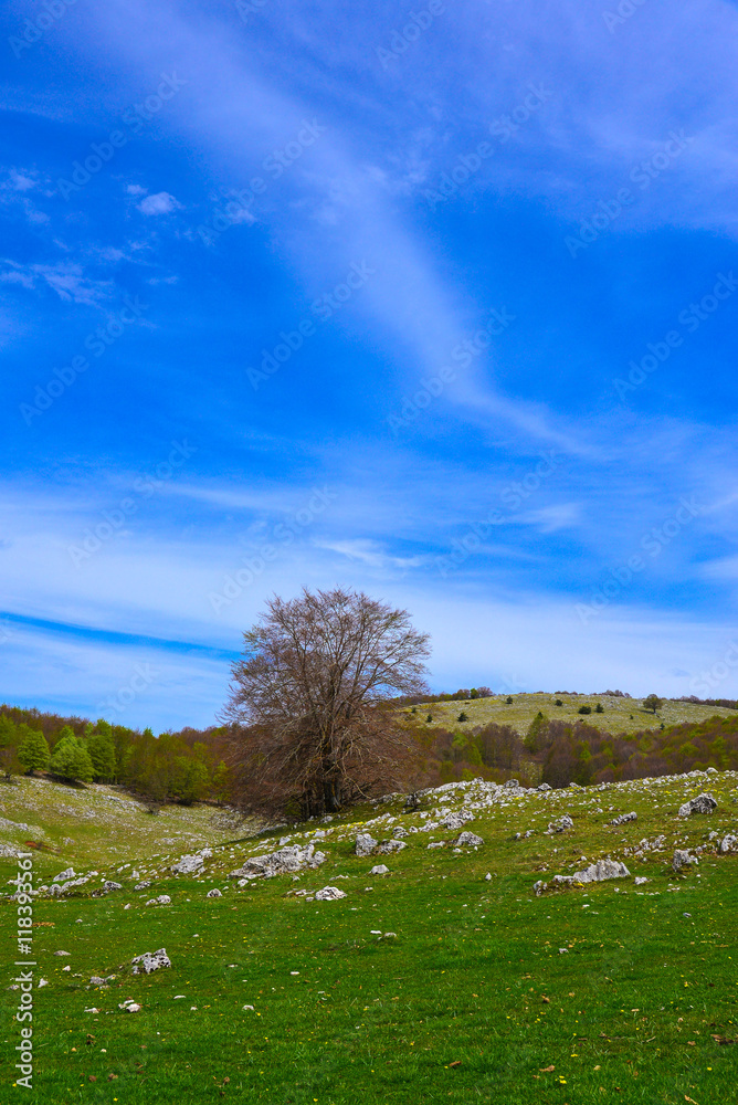 The Monti Simbruini - A mountain range in central Italy (Lazio and Abruzzo  regions), a part of