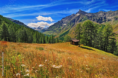 meadow with panoramic view on Alpien mountains