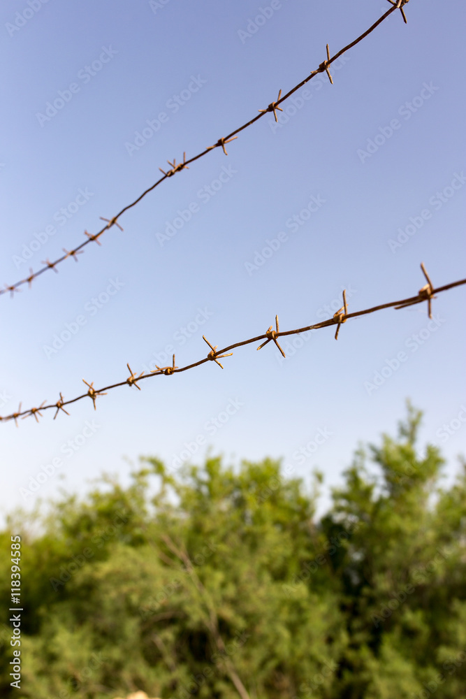Obraz premium barbed wire fence in the nature