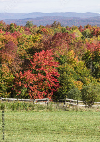 Vermont