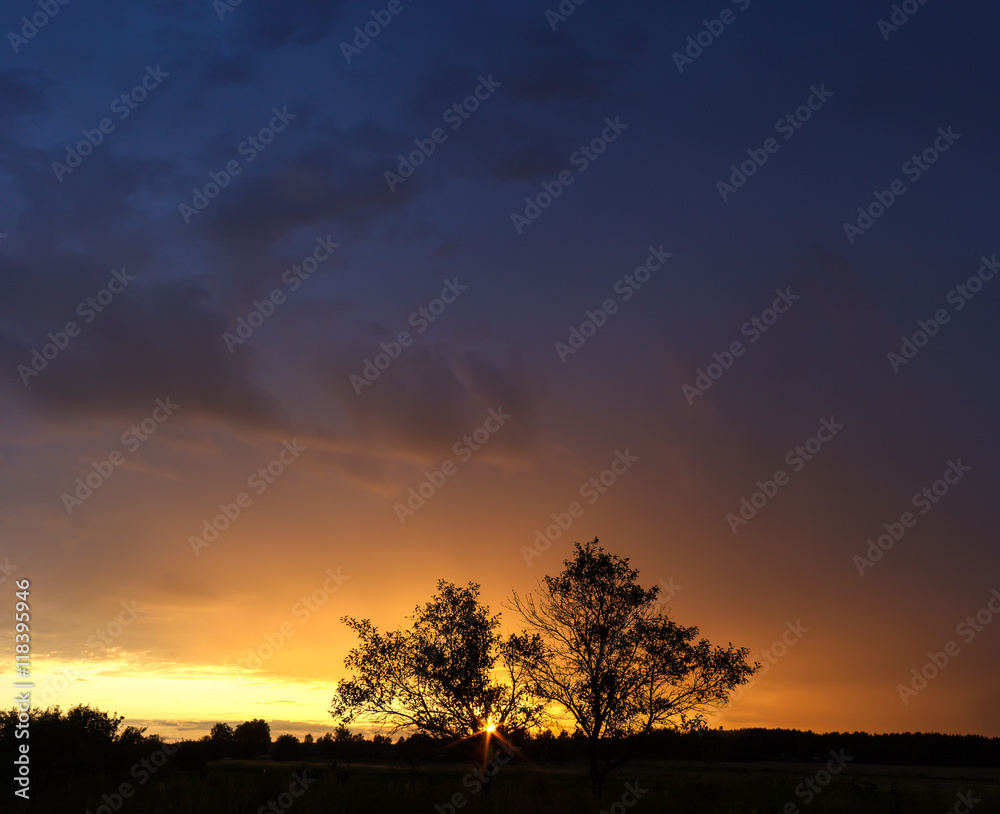 Summer sunset landscape with stormy sky and silhouettes of trees