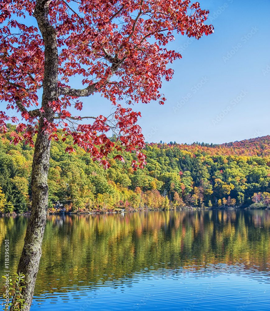 Fall lake Fall lake