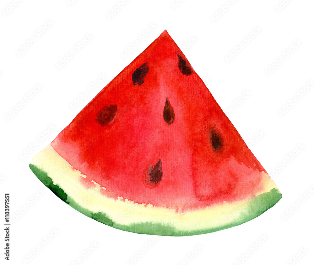 Isolated watercolor watermelon. Hand painted Isolated watercolor watermelon. Hand painted