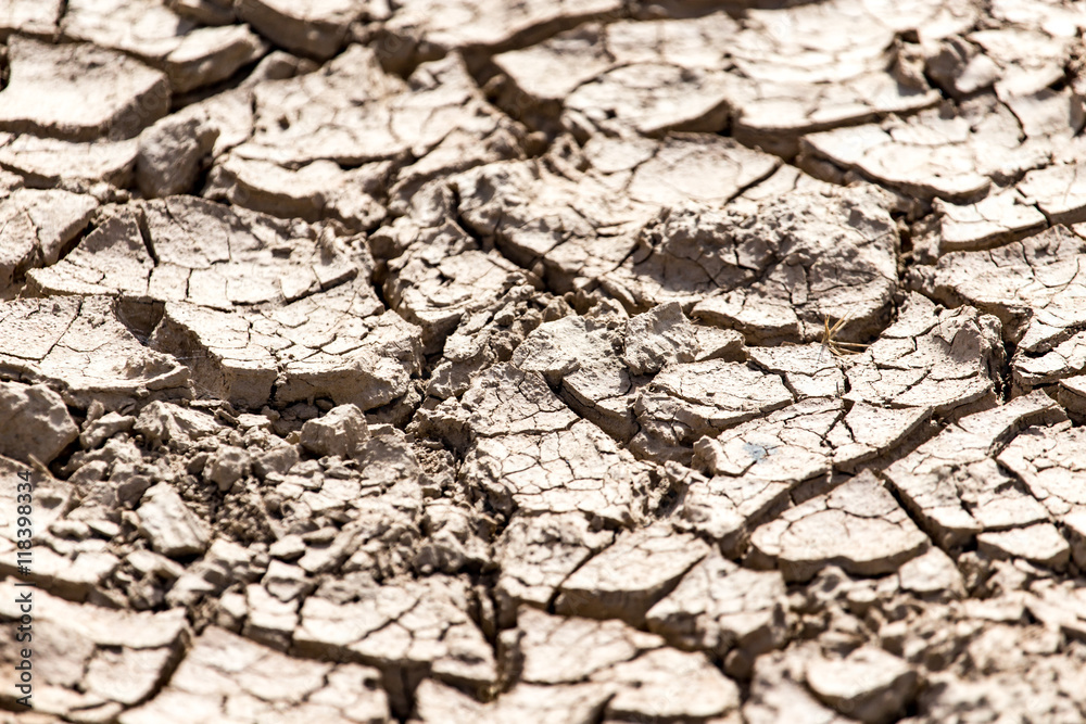 Fototapeta premium cracked dry earth as a background