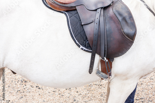 Saddle and stirrup on a white pony