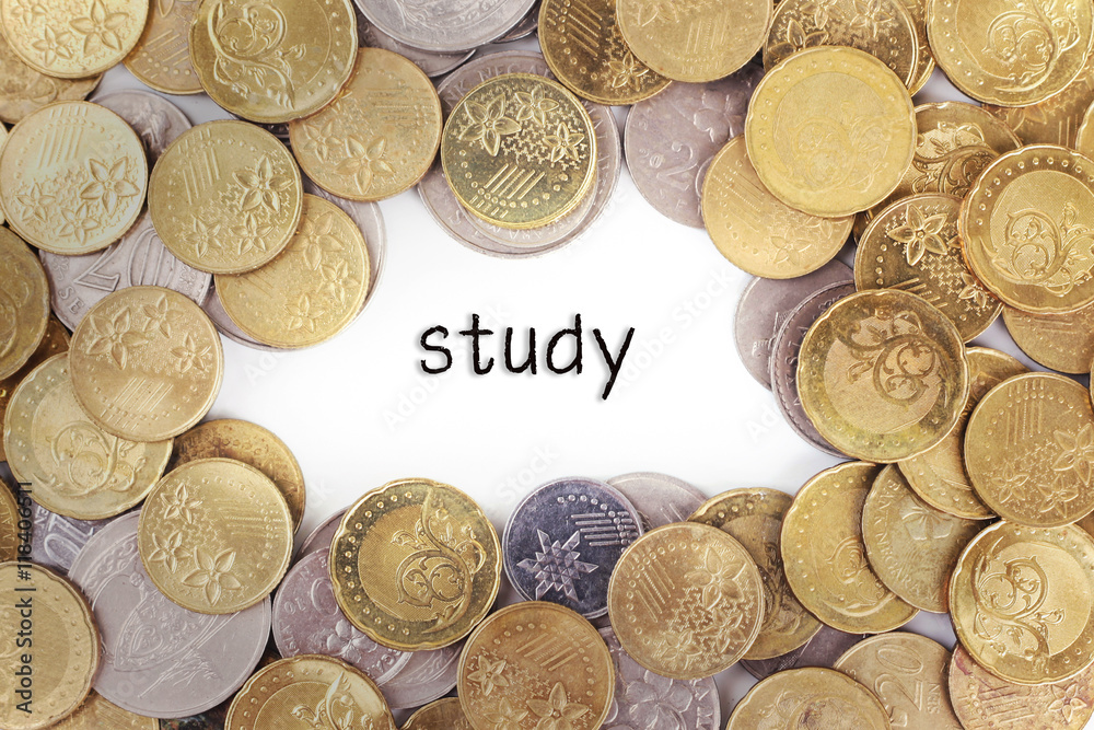 Background of the gold coin with word study in the middle. Background of the gold coin with word study in the middle.