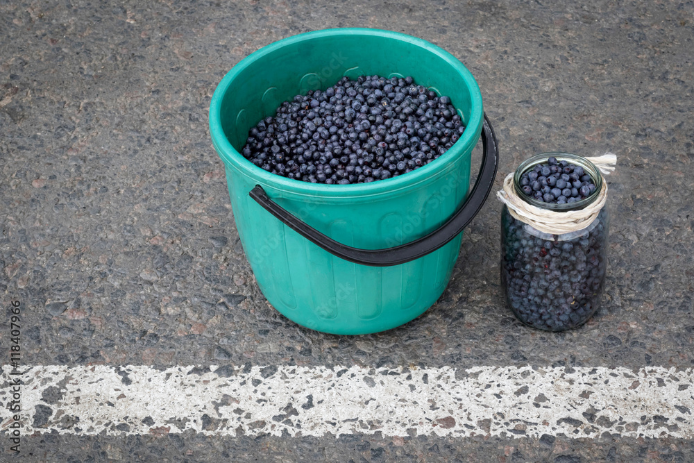 Ripe blueberries in a bucket on the road.