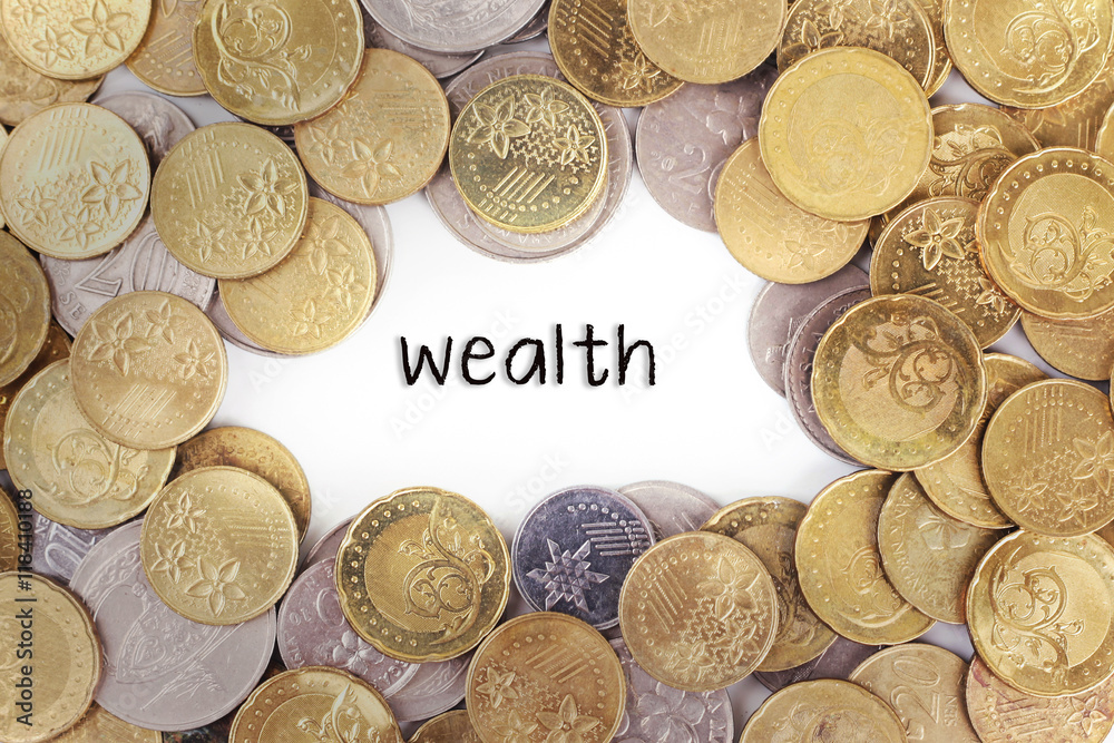 Background of the gold coin with word wealth in the middle. Background of the gold coin with word wealth in the middle.
