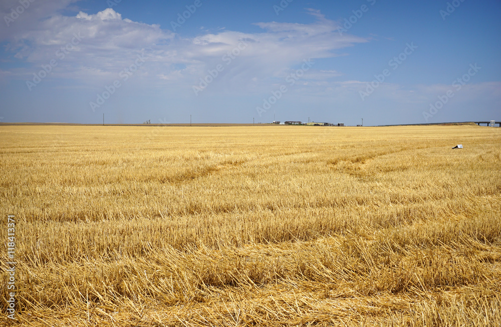 harvested farm field harvested farm field