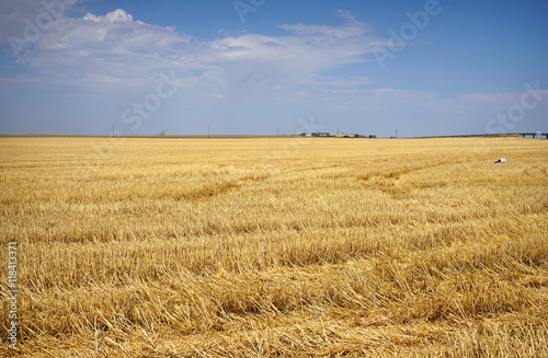 harvested farm field