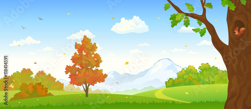 Autumn forest panorama