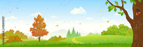 Autumn forest banner
